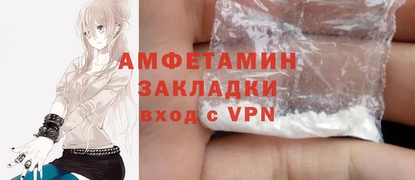 крисы Бронницы