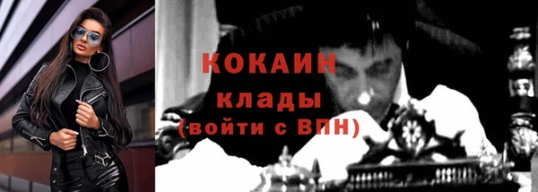 крисы Бронницы