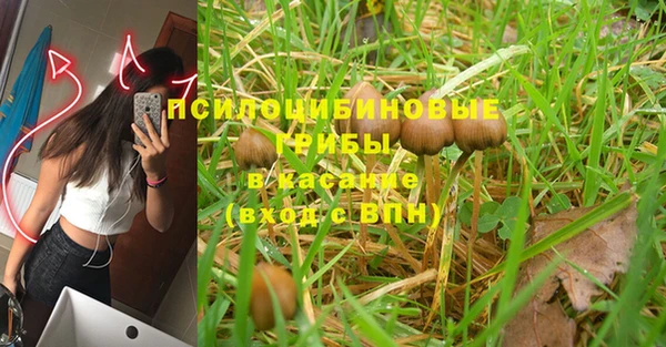 соль ск Михайловск