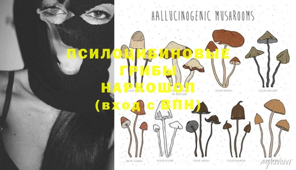 крисы Бронницы