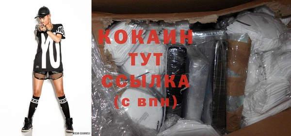 крисы Бронницы