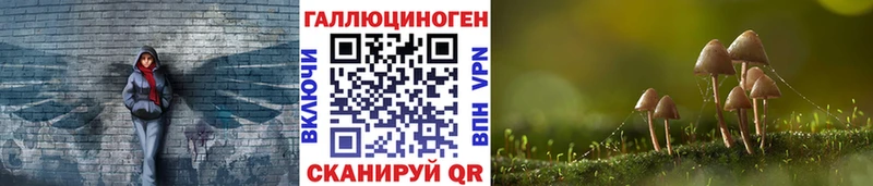 Псилоцибиновые грибы Magic Shrooms  купить наркоту  shop какой сайт  Яхрома 